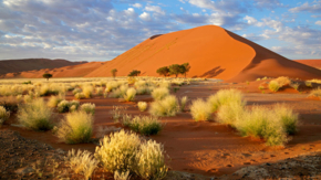 Namib